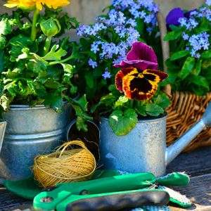 Mercato garden in Italia, secondo Euromonitor