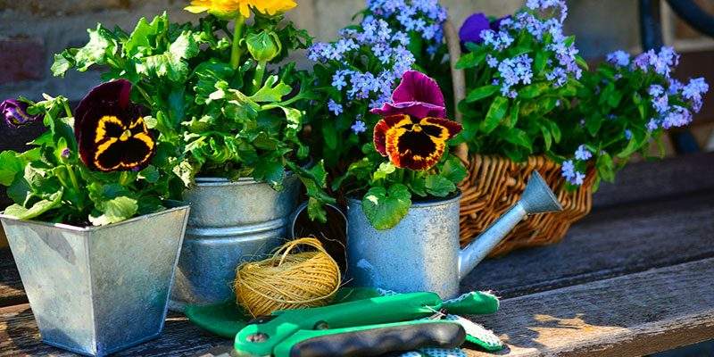 Mercato garden in Italia, secondo Euromonitor
