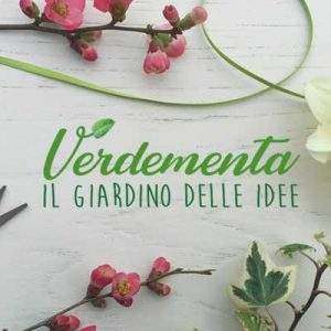 Il cuore verde di Abilmente