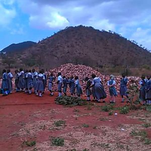 Un aiuto (in materiali) per costruire una scuola in Tanzania