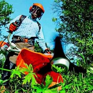 e-Commerce, in Primavera vince il giardinaggio