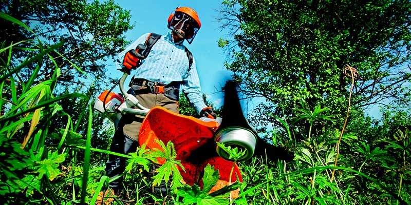 e-Commerce, in Primavera vince il giardinaggio