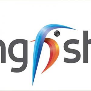 Kingfisher, profitti in calo del 55%