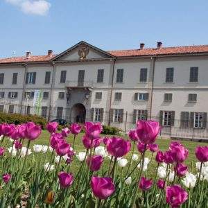 AICG, i nuovi corsi di formazione