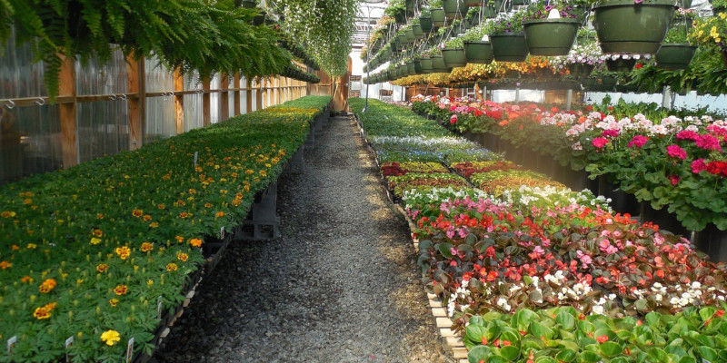 Florovivaisti e Garden Center lombardi. Pubblicata la Legge