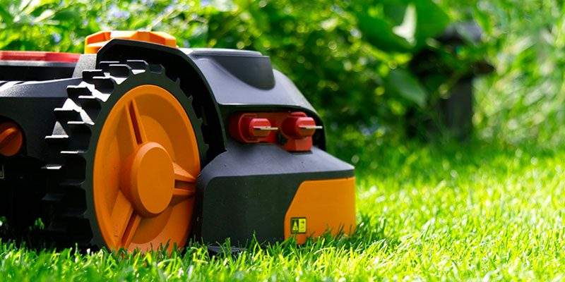 Il clima limita la crescita del giardinaggio nel 2019