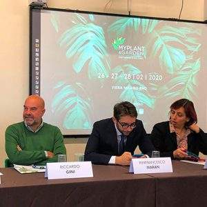 Nasce il &ldquo;Il Bosco di Myplant&rdquo;