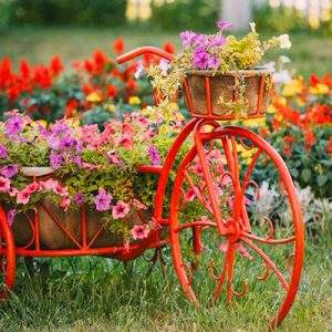 Biozon 100% naturale per piante e fiori