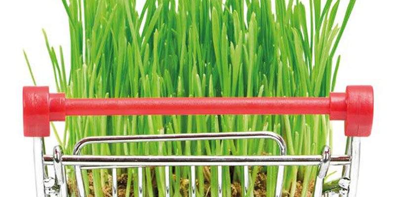 Rapporto Coop, voglia di cambiamento