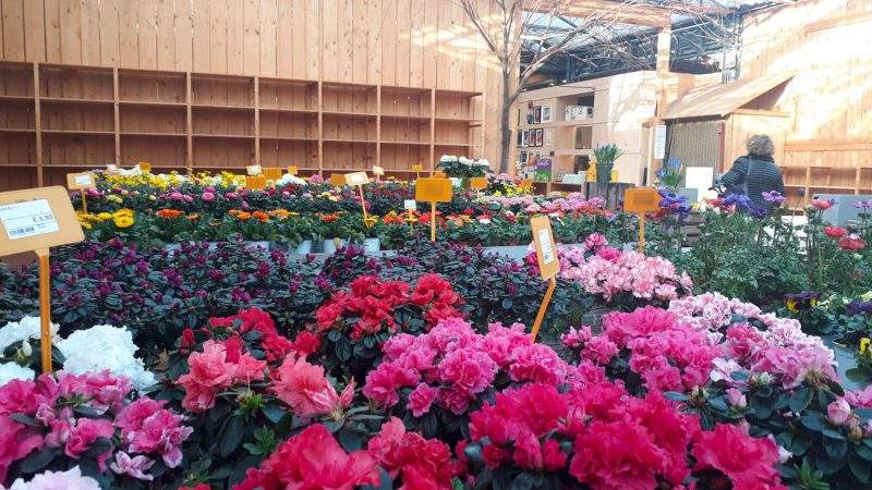 Covid-19, &egrave; emergenza per il comparto garden