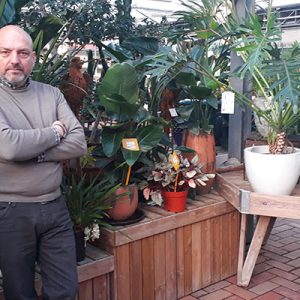 Centro del Verde Toppi, i garden hanno ancora spazio di mercato