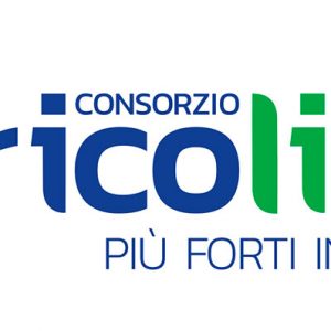 Bricolife, inizio 2020 con tre nuovi associati