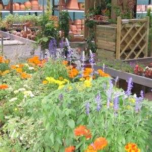 Covid-19: i garden possono rimanere aperti. Ma…