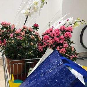 Federfiori chiede chiarezza