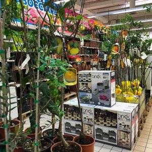 Uniti per il &ldquo;Garden&rdquo;