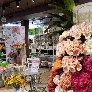 Covid-19 Kasanova si organizza con WhatsApp