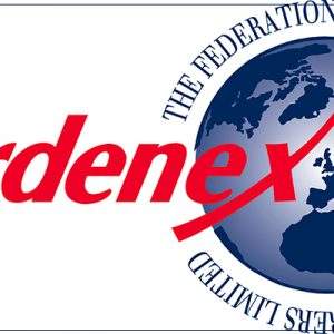 Gardenex implementa il sito web