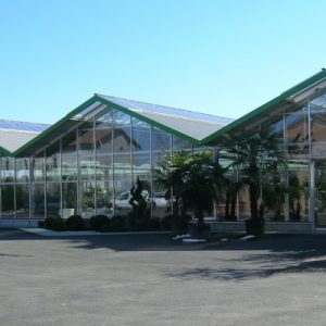 Premio Gardenia-AICG 2020