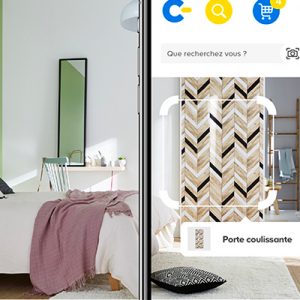 Castorama,  la prima ricerca visiva online