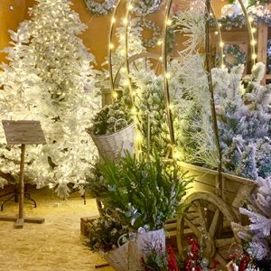 Criteo: le tendenze che guideranno gli acquisti delle festività