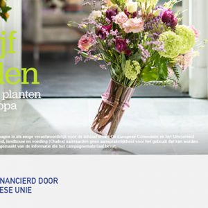 “Keep on Shining”, la campagna UE a favore di fiori e piante