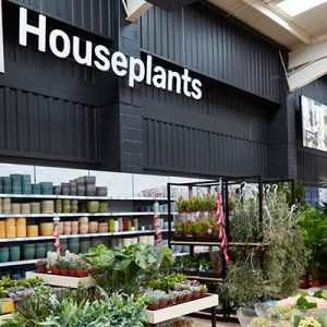 Il rinnovamento di Homebase