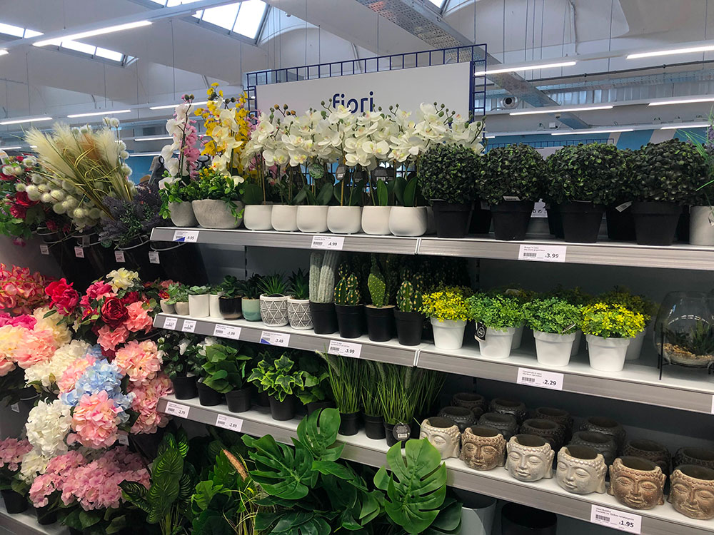 Action a Vanzaghello (MI)