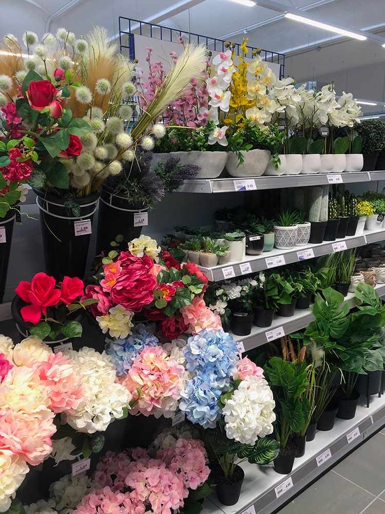 Action a Vanzaghello (MI)