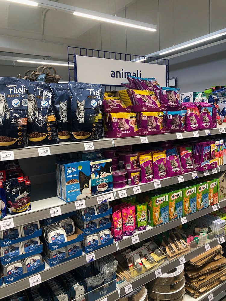 Action a Vanzaghello (MI)