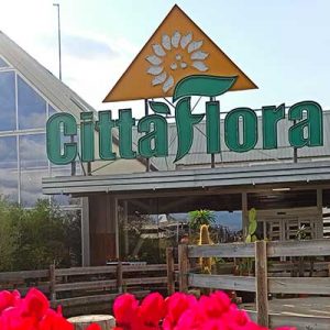 Città Flora, bene il vivaio ma anche arredo e barbecue