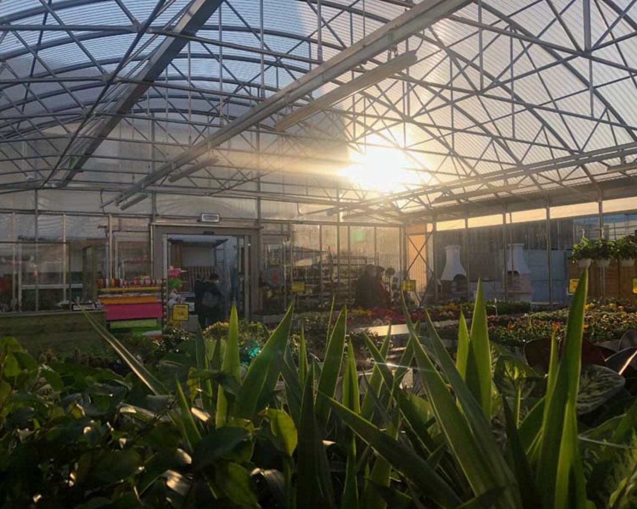 La nuova serra di Brico OK a Tradate (VA)