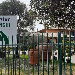 Garden Center Ardenghi: “meglio l’approccio diretto con il cliente”