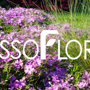 Nuovi eletti nella Sezione specialistica floricoltori di Assofloro