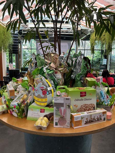 Powerlful Spring di Lidl Italia