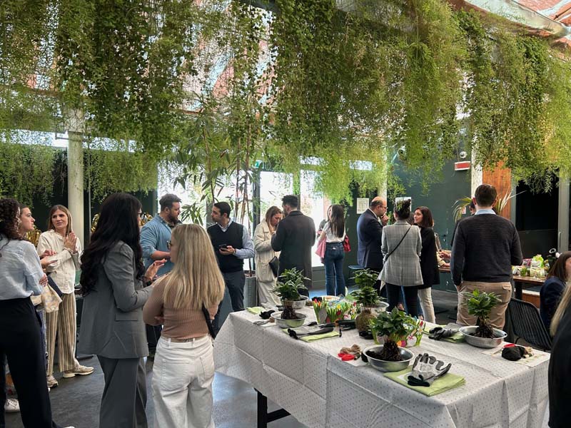 Powerlful Spring di Lidl Italia