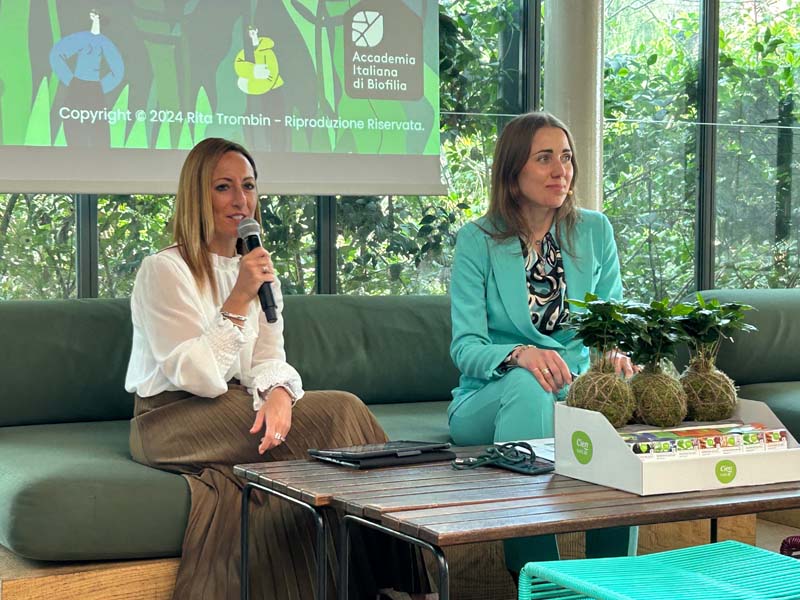 Powerlful Spring di Lidl Italia