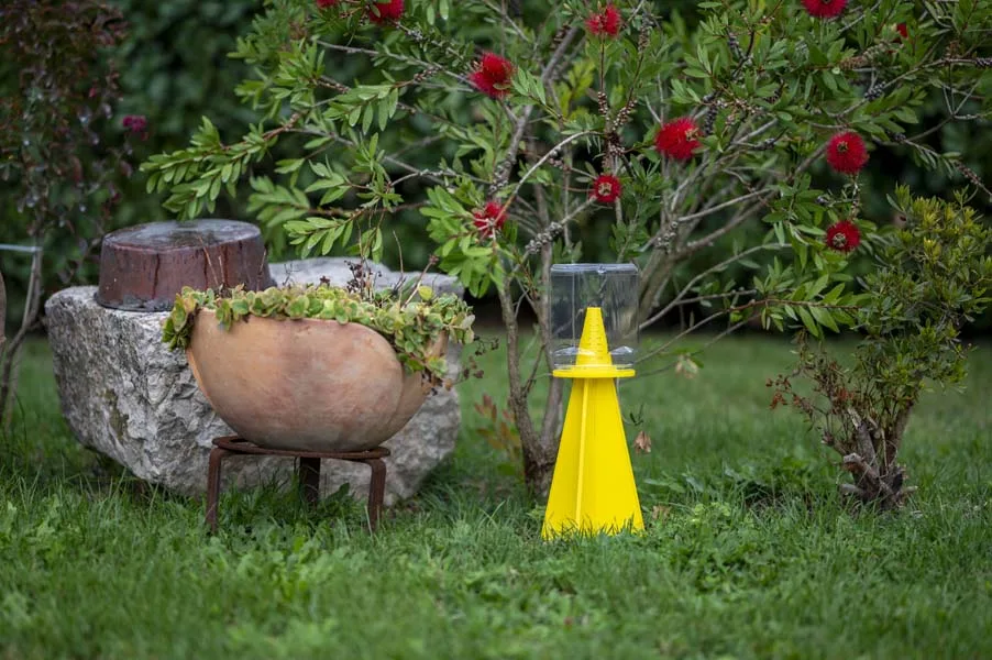 Cymatrap Garden di inVerde