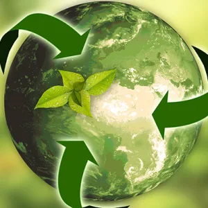 Gen Z e sostenibilità: cosa chiedono ai brand