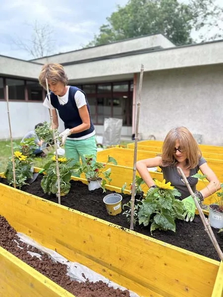 Bricolage del Cuore, 2024 - Baroni85 Milano