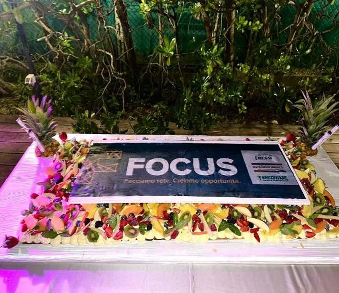 Focus meeting. 29-30 maggio Pietrasanta