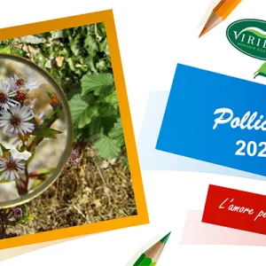 Viridea, torna il progetto didattico &ldquo;Pollicino Verde&rdquo;