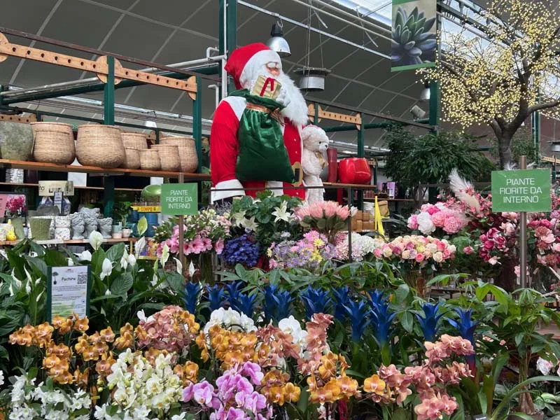 Il garden Marini Fiori a Rivoli (TO)