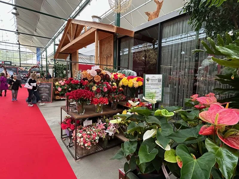 Il garden Marini Fiori a Rivoli (TO)