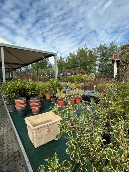 Il garden Marini Fiori a Rivoli (TO)