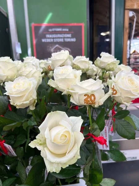 Il garden Marini Fiori a Rivoli (TO)