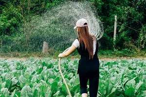 Pompe a immersione: la soluzione versatile e conveniente per l&rsquo;irrigazione dei giardini