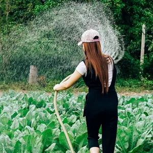 Pompe a immersione: la soluzione versatile e conveniente per l’irrigazione dei giardini