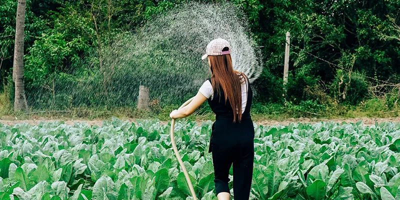 ragazza innaffia il giardino