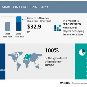 2025-2029: l’Europa del Fai da te in crescita