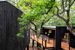 I numeri dell’Osservatorio Edilizia in Legno 2024